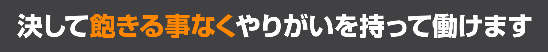 決して飽きる事なくやりがいを持って働けます